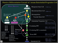 Click to enlarge.