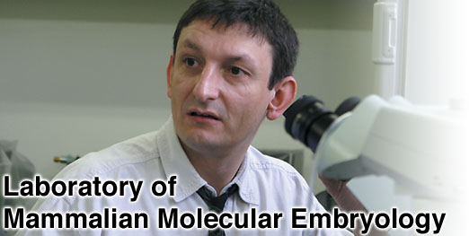 Laboratory of Mammalian Molecular Embryology