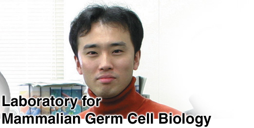 Laboratory for Mammalian Germ Cell Biology