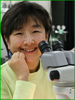 Yoshiko Takahashi